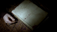 TVD113-132-Emily's Grimoire