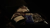 Lexi's supply of blood