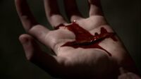 Stefan's hand is cut when Jeremy and Tyler get into a fight.