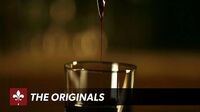 The Originals This Bloods For You Trailer The CW