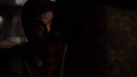 Delena511-2