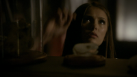 TVD203-058-Elena