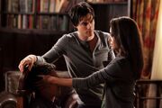 Bonnie-and-Damon-bonnie-bennett-23734676-2048-1365