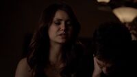 Delena508-5