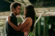 TVD104 Stelena(2)