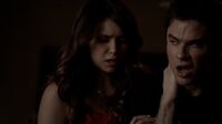 Delena508-4