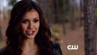 TVD 4x22-9