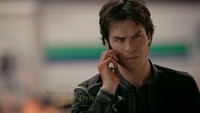 720-008~Stefan-Damon