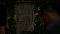 TO322-132-Mikaelson Insignia