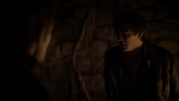 TVD114-141~Stefan-Damon