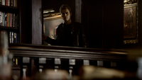 TVD115-016-Stefan