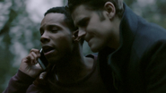 813-075~Stefan~Matt-Dorian