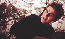 Stefan Salvatore 5x13