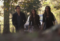 Stefan, Elena and Nadia 5x11