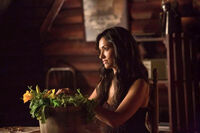 Vampire-diaries-503-4