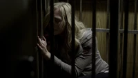 TVD213-103-Caroline.png (2.25 MB)