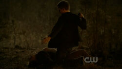 TVD - 2.21 - The Sun Also Rises.avi snapshot 11.23 -2011.05.08 14.54