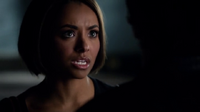 6X19-12-Bonnie