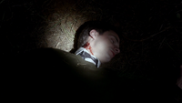 TVD106-153-Logan.png (1.21 MB)