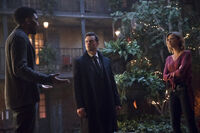 4x12 Voodoo Child-Vincent-Elijah-Freya