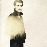 TVD7-Stefan