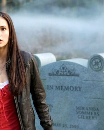Liebes Tagebuch Vampire Diaries Wiki Fandom