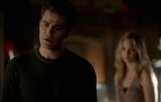 Stefan417caroline