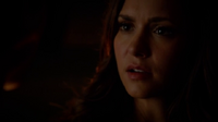 6X19-79-Elena