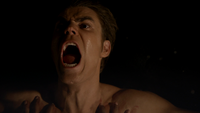 TVD304-099-Stefan