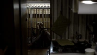 TVD213-117-Caroline.png (2.27 MB)