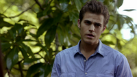 TVD106-057-Stefan