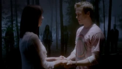 The Vampire Diaries - Coven of Two {DavinaღKol} #04: I never