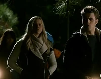 Tvd-expedition-into-the-wild