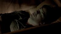 7X01-3-Damon