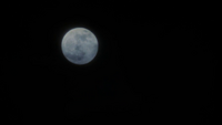 TO113-069-Full Moon