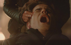 Stefan in - 5x16