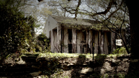 TVD307-037-Abandoned Cottage
