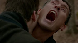 Finn is bitten by Lucien