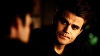 Stefan 5x15