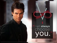 TVD-Quotes-Damon-S2.jpg (116 KB)