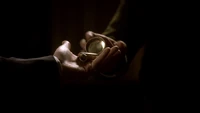 TVD106-087~Richard-Gilbert Compass~Logan.png (708 KB)