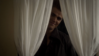 TVD213-165-Stefan