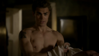 TVD212-010-Stefan-Vervain