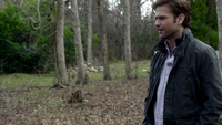 TVD215-026-Alaric