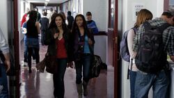 Legacies: Alaric is Mystic Falls High's New Principal in Season 2