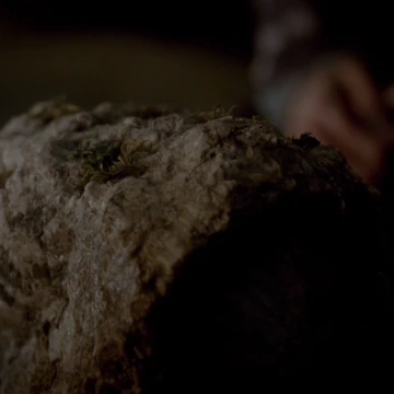 Silas Tombstone The Vampire Diaries Wiki Fandom Season eight is set to introduce evil herself, but how will she measure up to these 12 professor creepypants, as damon so aptly nicknamed him, was obsessed with raising immortal witch silas (also wesley) to bring his dead wife back to life. silas tombstone the vampire diaries