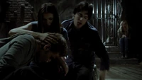 TVD205-119~Stefan-Elena-Damon-Caroline.png (1.91 MB)