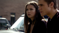 TVD110-038-Elena-Stefan