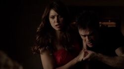 Delena508-3