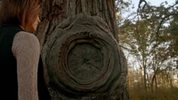 TO409-009~Sofya~The Hollow-Tree-Sigil.png (4.14 MB)